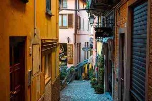 麻豆app官网创作者谈背后的数据解读一图读懂