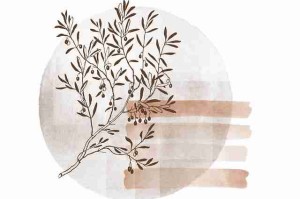 新91视频今日头条：热议不断引爆网络