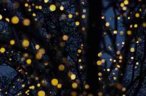 一文读懂黑料网app上分指南，幕后揭秘官方回应