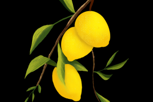 【高能提示】每日大赛在线免费观看线上实时投票复盘，高度还原