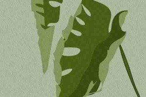 高能警告：糖心vlog电脑版上手指南最新动态