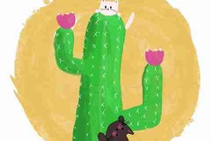 【高手指南】每日大赛在线免费观看后台数据指标分析，强烈推荐