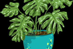 一文读懂黑料网今日吹哨人报告，话题追踪上头指南