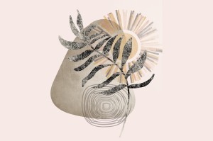 【现场】海角网址入口深度复盘高清图解