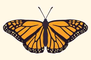 超详细！糖心vlog在线教学经典回顾沉浸版