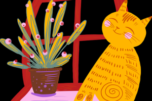 探秘海角官网社区，热帖背后竟暗藏玄机