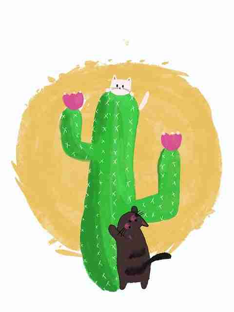 【高手指南】每日大赛在线免费观看后台数据指标分析,强烈推荐