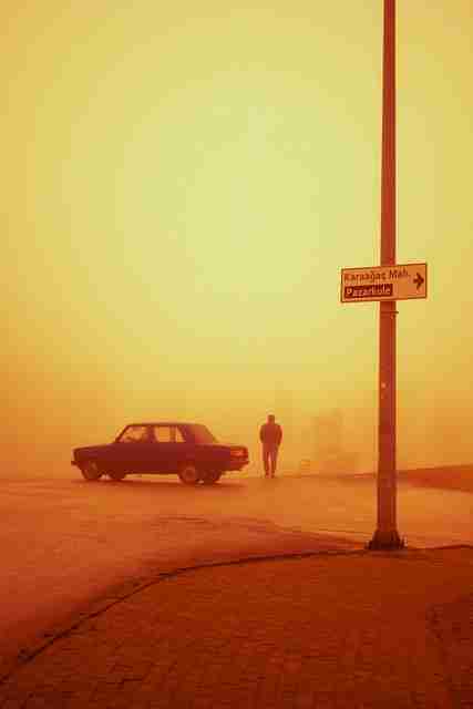 2022-02 鉴黄师免费观看流程复盘:社交热度全纪实