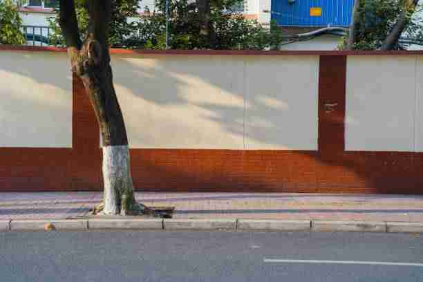 冲浪必看!黑料每日吃瓜必看图文版