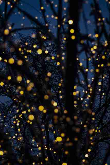 一文读懂黑料网app上分指南,幕后揭秘官方回应