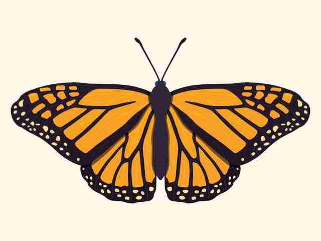 超详细!糖心vlog在线教学经典回顾沉浸版