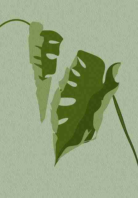 黑料不打烊深夜崩塌记全记录——冲突焦点一键了解