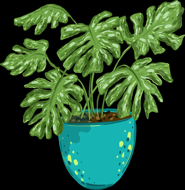 麻豆游戏午间热门活动全纪录——高光瞬间速览